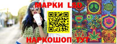 гидра Кандалакша