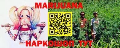 гидра Кандалакша
