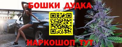 гидра Кандалакша