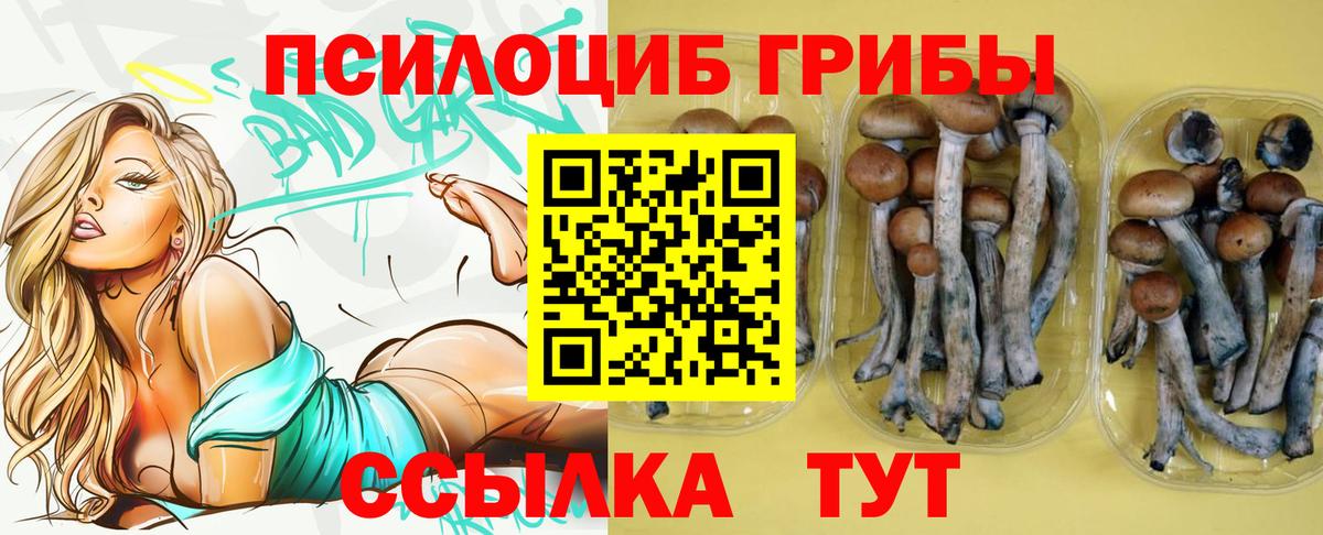 Галлюциногенные грибы Cubensis  Псилоцибиновые грибы Magic Shrooms  Когалым  что такое   Вход с VPN 